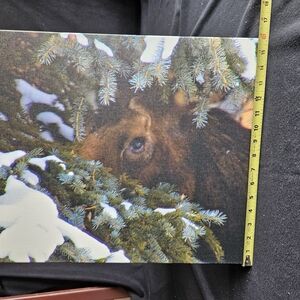 Nature's Majesty Canvas Art Of Moose In Snow